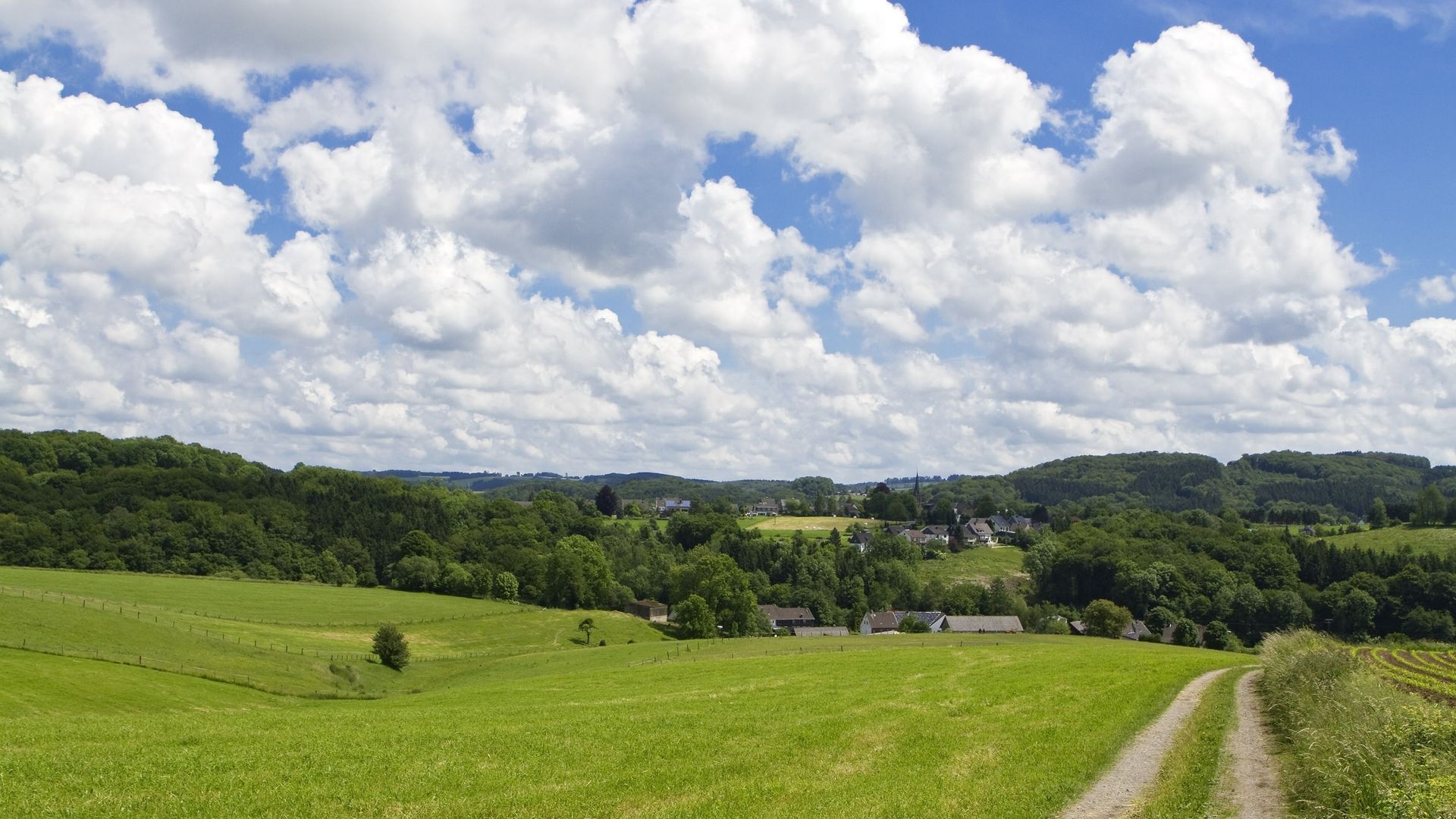 Wanderweg der über eine Wiese führt und in ein Tal führt. Im Hintergrund sind Bäume und einzelne Wohngebäude sichtbar