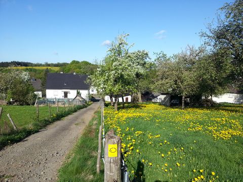 Ein geschotterter Wanderweg verläuft an einer Wiese mit gelb blühendem Löwenzahn vorbei auf eine Häusergruppe zu. Daneben stehen blühende Obstbäume. Im Vordergrund ist ein gelbes Markierungszeichen an einem Holzpfosten sichtbar. 