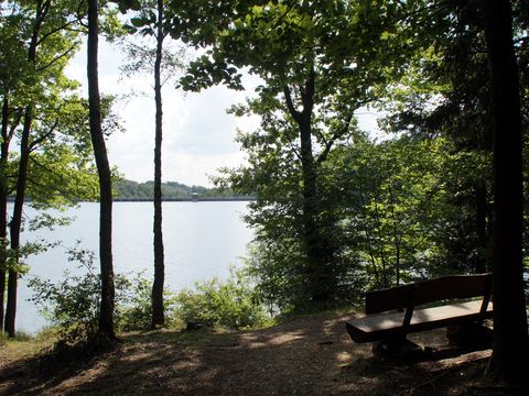 Blick durch einige Bäume am Ufer auf die Neyetalsperre. Rechts steht ein Holzbank.