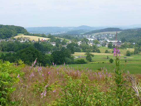 Aussicht über die grünen Hügel des Bergischen Landes mit Feldern, Wäldern und Häusern