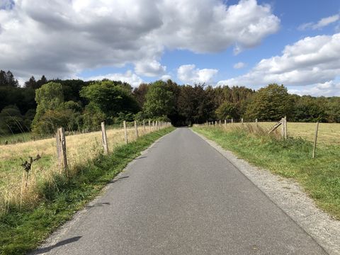 Zwischen zwei Feldern führt ein asphaltierter Weg entlang. Der Weg führt auf einen Wald zu. Der Himmel ist blau mit ein paar weißen Wolken.