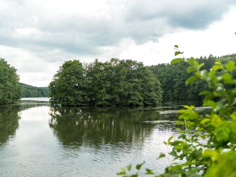 Vom Ufer einer Talsperre sieht mal eine kleine Insel mit Bäumen. Im Vordergrund und an den Seiten der Talsperre sind Bäume zu sehen. 