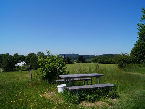 Inmitten von grüner Landschaft stehen ein Tisch und zwei Bänke für ein Picknick bereit.