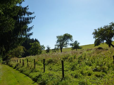 Ein über eine gemähte Wiese verlaufender Wanderweg grenzt auf der rechten Seite an einen Zaun, hinter dem viele grüne Stäucher wachsen. Der Himmel ist blau.