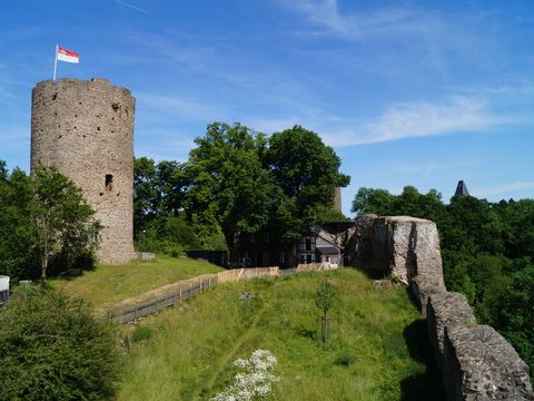 Burgruine der Burg Blankenberg mit Wiese und Bäumen. 