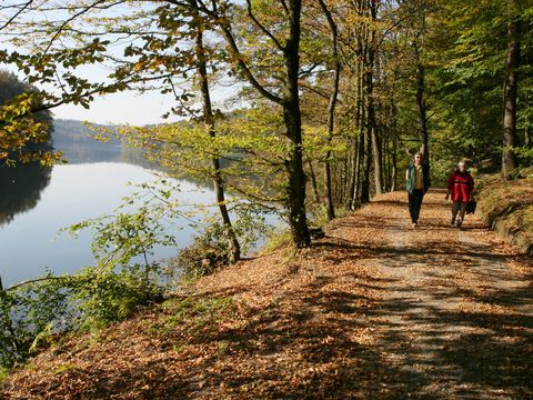 herbstlicher Wanderweg am Ufer der Neyetalsperre. 