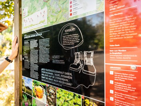 Zu sehen ist eine Infotafel vom Kräuterweg. Links stützt sich eine Hand an der hölzernen Umrandung ab.