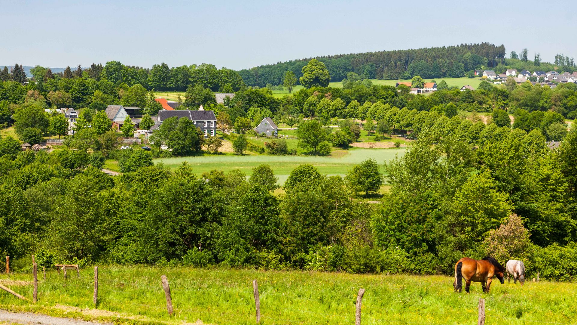 Blick über eine Pferdewiese auf verschiedene Gebäude die zwischen Bäumen und Wiesen auf einem Hügel stehen. 