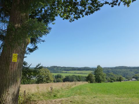 Im Vordergrund steht auf der linken Seite ein Baum mit einem gelben Markierungszeichen am Stamm. Im Hintergrund ist hügelige Landschaft mit Wiesen und Bäumen sichtbar.