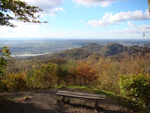 Panoramaaufnahme auf herbstliche Wälder, das Siebengebirge und städtische Bebauung. Im Vordergrund ist eine Bank aus Holz zu sehen. 