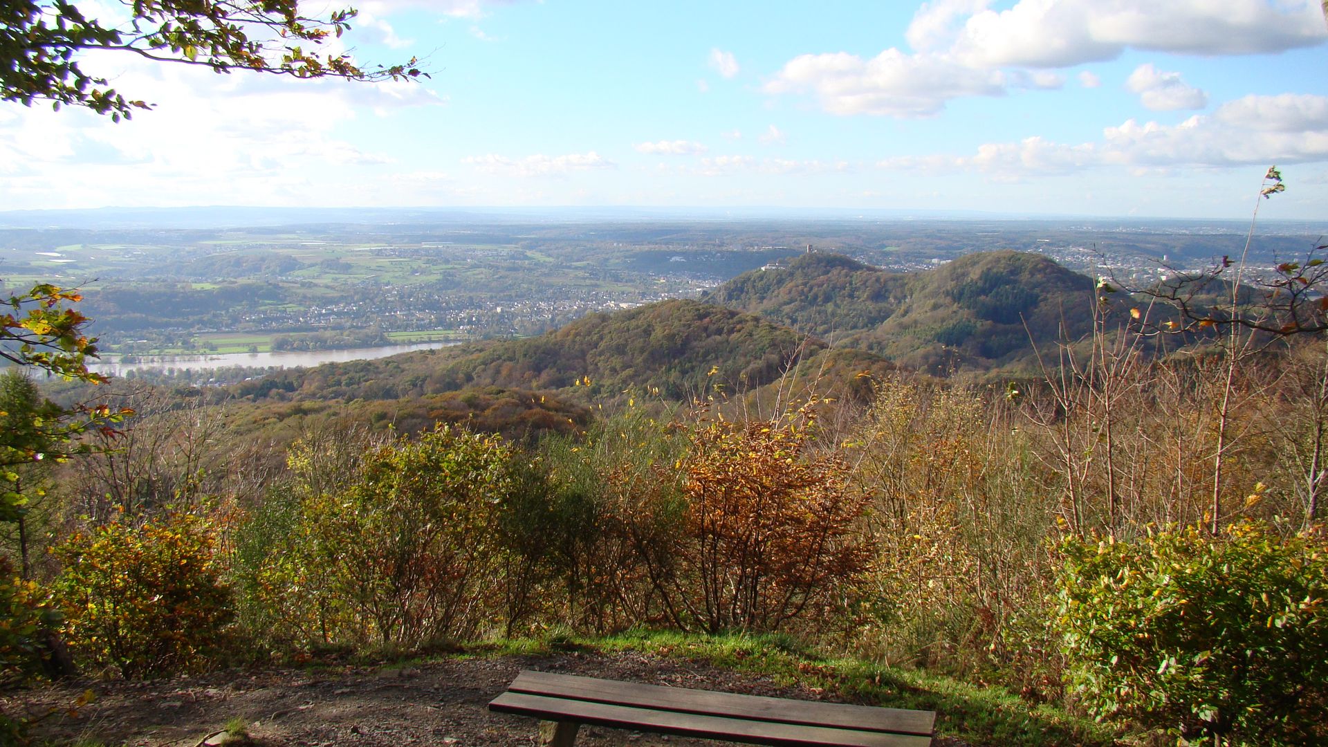 Panoramaaufnahme auf herbstliche Wälder, das Siebengebirge und städtische Bebauung. Im Vordergrund ist eine Bank aus Holz zu sehen. 