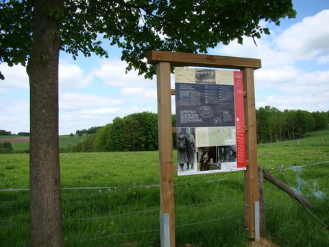 Vor einer gründen Wiese steht eine Infotafel des Böllweges. Links daneben steht ein Baum.