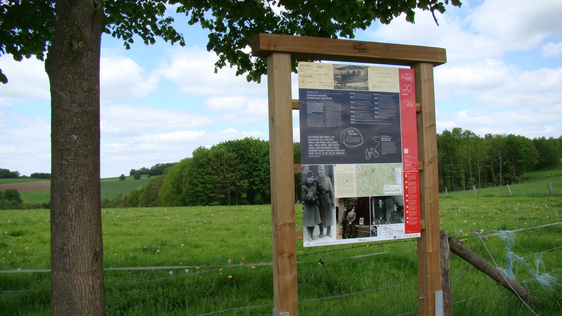 Vor einer gründen Wiese steht eine Infotafel des Böllweges. Links daneben steht ein Baum.