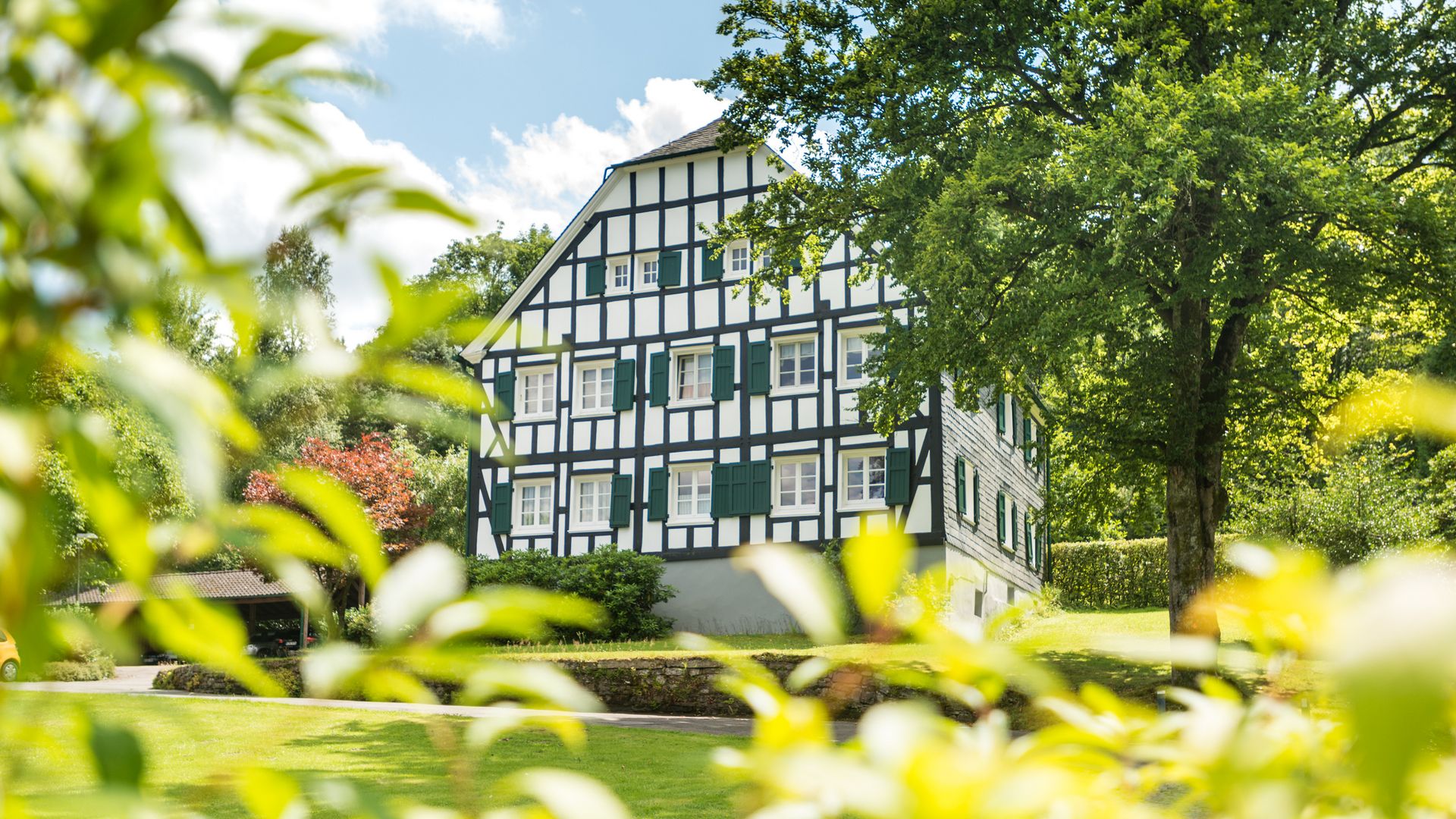 Blick durch Blätter auf ein Fachwerkhaus mit grünen Fensterläden auf einer Wiese. Neben dem Haus steht ein Baum. 