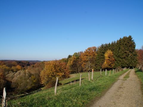 Ein Wanderweg verläuft an einem Holzzaun entlang auf einen herblich gefärbten Wald zu. 