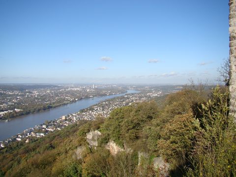 Blick vom Drachenfals auf den Rhein und die städtische Bebauung an beiden Ufern. Im Vordergrund sind herbstlichs Sträucher zu sehen.