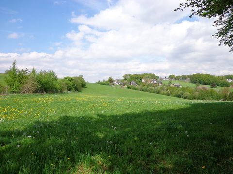 Weitblick über eine grüne Wiese mit vielen gelben Blumen bei blauem Himmel