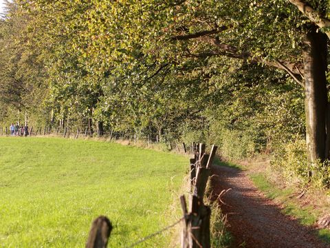 ein Wanderweg führt am Waldrand entlang. Auf der linken Seite ist eine Wiese die von einem Zaun mit Hozpfosten vom wanderweg getrennt ist. Auf der rechten Seite des Weges beginnt der Wald