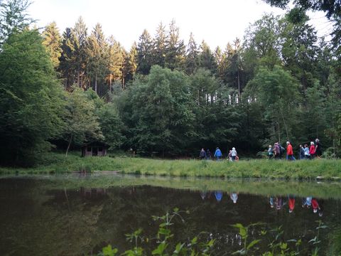 Eine Gruppe Wanderer geht auf der anderen Seite eines Sees über einen Wanderweg vor Bäumen