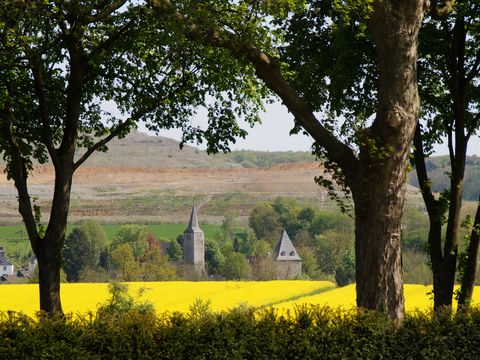 Blick durch zwei Bäume im Vordergrund auf ein paar Gebäude hinter einem gelb blühenden Rapsfeld