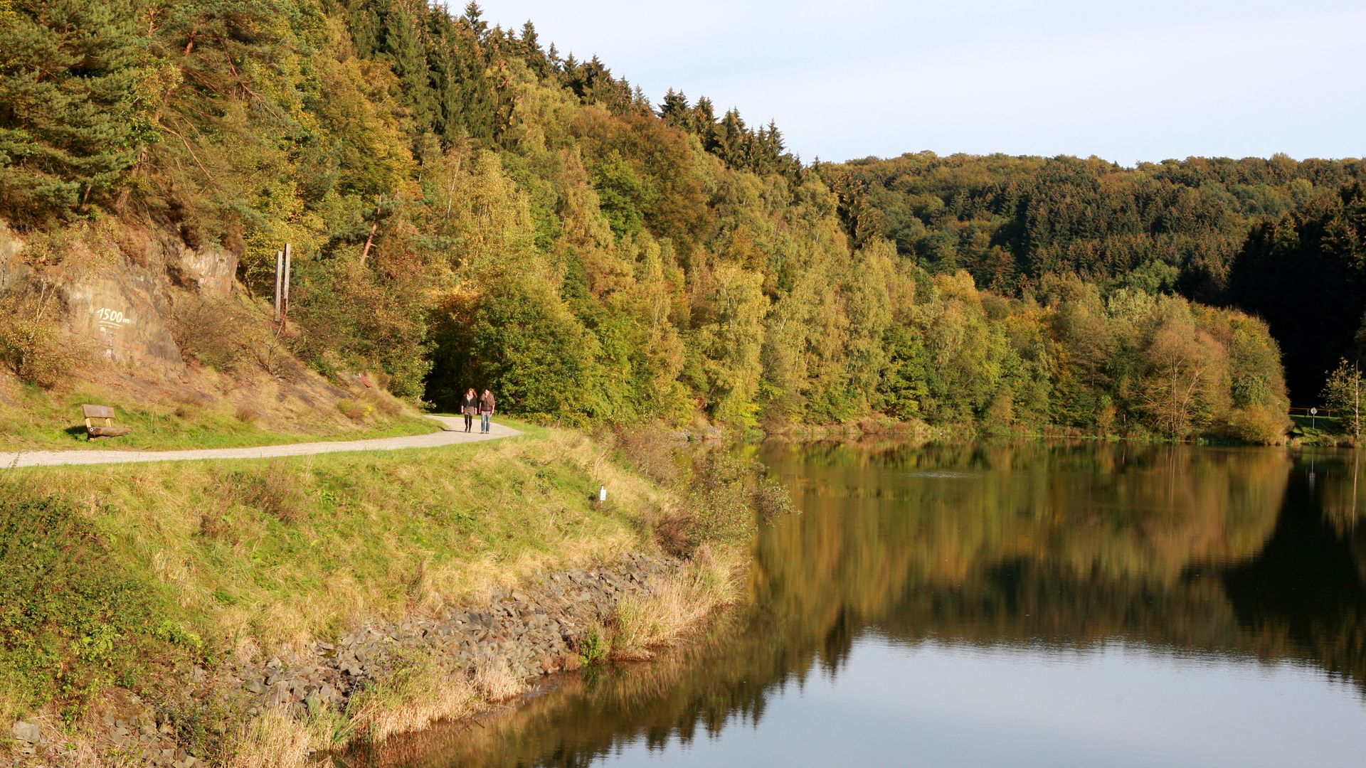 Blick vom einen Ufer auf das Ufer an der anderen Seite einer Talsperre. Zu sehen ist Wasser auf der rechten Seite und herbstliche Bäume und ein Wanderweg auf der linken Seite. 