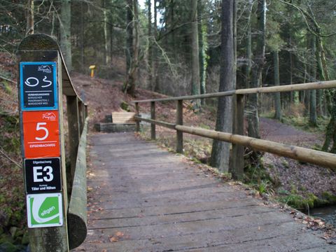 Wegemarkierungen am Pfeiler einer Holzbrücke, über die der Eifgenbachweg im Wald führt