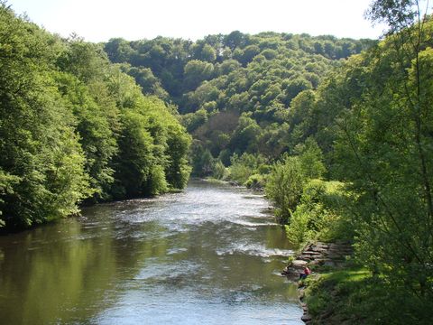 Blick auf einen Fluss mit Laubbäumen an beiden Ufern. 