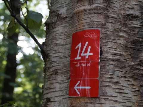 An einem Baumstamm ist das rote Markierungszeichen des Höhlenweges angebracht.