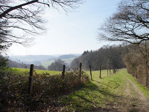 Ein Wanderweg führt über eine Wiese und bietet einen weiten Panoramablick über Wiesen und Hügel