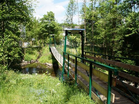 Über einen Fluss führt eine Hängebrücke. Links und rechts des Flusses wachsen schmale Bäume.