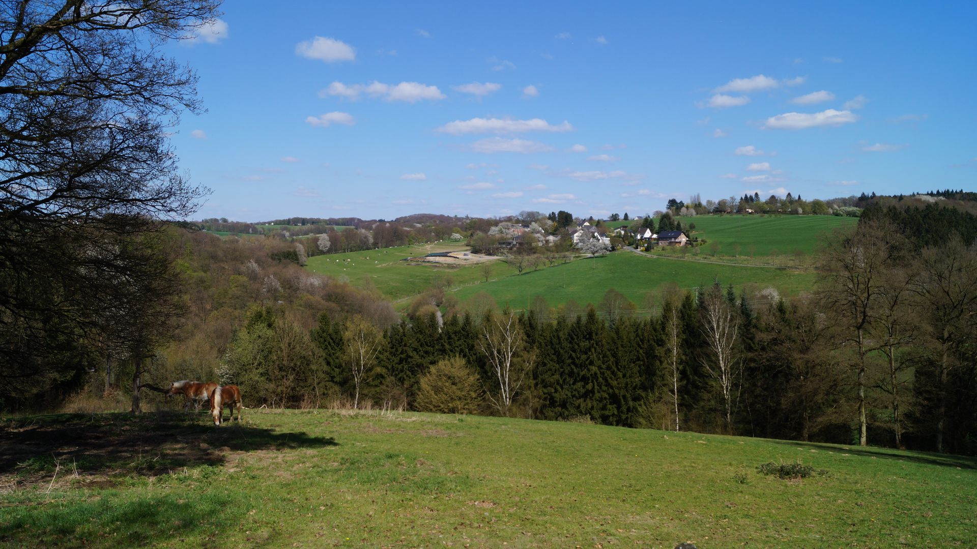 Ausblick auf eine hügelige Landschaft mit Wiesen und Bäumen. Auf einem Hügel im Hintergrund sich Wohnhäuser sichtbar