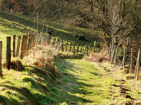 Ein Wanderweg auf einer Wiese der auf beiden Seiten von Zäumen eingefasst ist . 