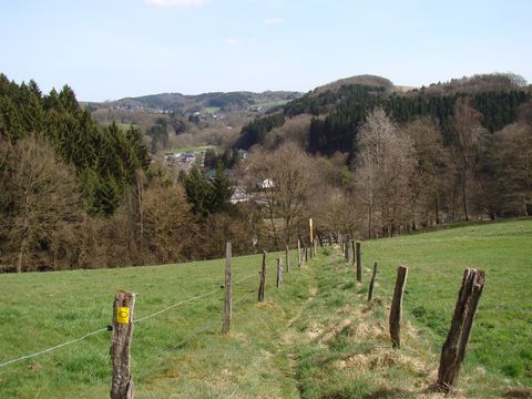 Blick auf einen Wiesenweg der auf beiden Seiten von einem Zaun abgegrenzt ist. Hinter dem Zaun sind Wiesen und der Weg führt in einen Wald