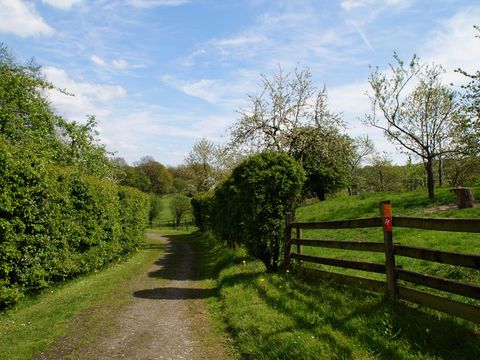 Ein Wanderweg führt an einem Zaun entlang, rechts hinter dem Zaun stehen Obstbäume, links neben dem Weg Laubbäume