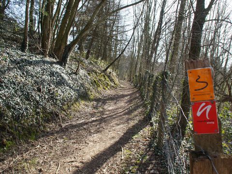 Waldweg mit einem orangenen Markierungszeichen vom Bergischen Weg und einem roten Markierungszeichen vom Neanderlandsteig an einem Baum