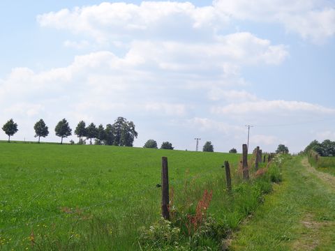 Wanderweg durch grüne Wiesen, im Hintergrund blauer Himmel