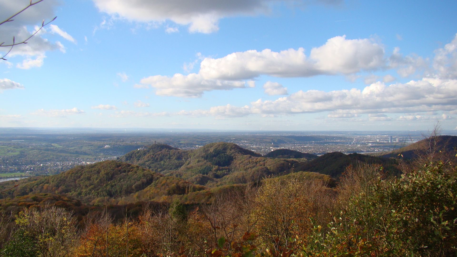 Panoramablick auf den Drachenfels und das Siebengebirge mit herbstlich gefärbten Wäldern im Vordergrund.