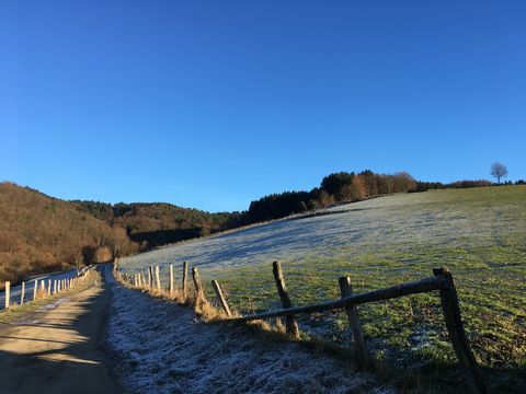 An Wanderweg führt an einer gefrorenen Wiese vorbei. Er führt auf einen Wald zu und der Himmel ist blau.