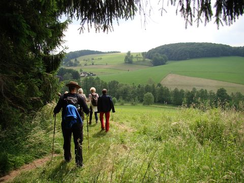 Zu sehen ist eine Wandergruppe mit drei Personen von hinten die über einen Wiesenweg wandert. 