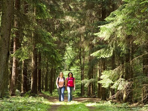 Zwei junge und bunt gekleidete Frauen wandern auf einem Waldweg durch Nadelbäume auf den Fotografen zu. 
