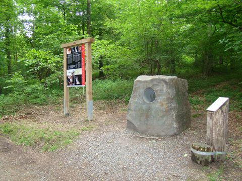 Im Wald auf einer mit Laub bedeckten Fläche steht eine Infotafel des Klangpfades. Rechts daneben steht ein dicker Stein mit einem runten Loch auf der vorderen Seite. Rings herum stehen Bäume mit grünen Blättern.