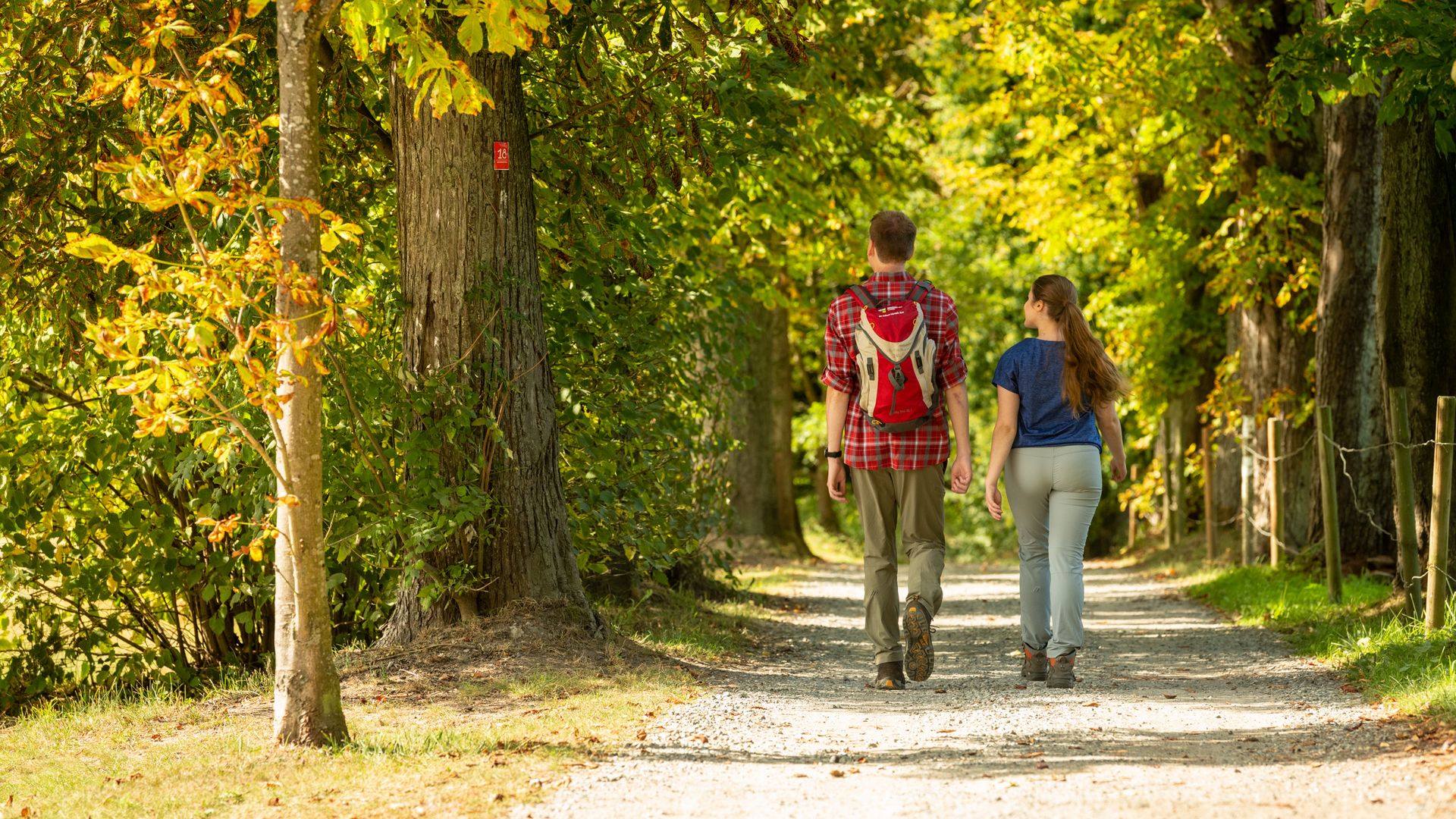 Zu sehen ist ein junges Paar von hinten, das auf einem Wanderweg durch den herbstlichen Wald mit bunten Blättern wandert.
