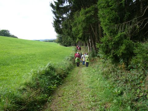 Eine kleine Wandergruppe wandert auf einem Wanderweg am Waldweg. Rechts stehen Nadelbäume, an einem Stamm ist ein Markierungszeichen vom Bergishen Weg angebracht. Auf der linken Seite grenzt der Weg an eine Wiese. 
