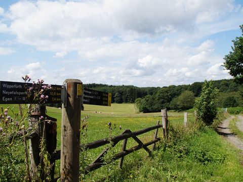 Hinweisschilder auf den Bergischen Panoramasteig an einem Holzpfosten an einem Wiesenweg vor eihem Holzgatter