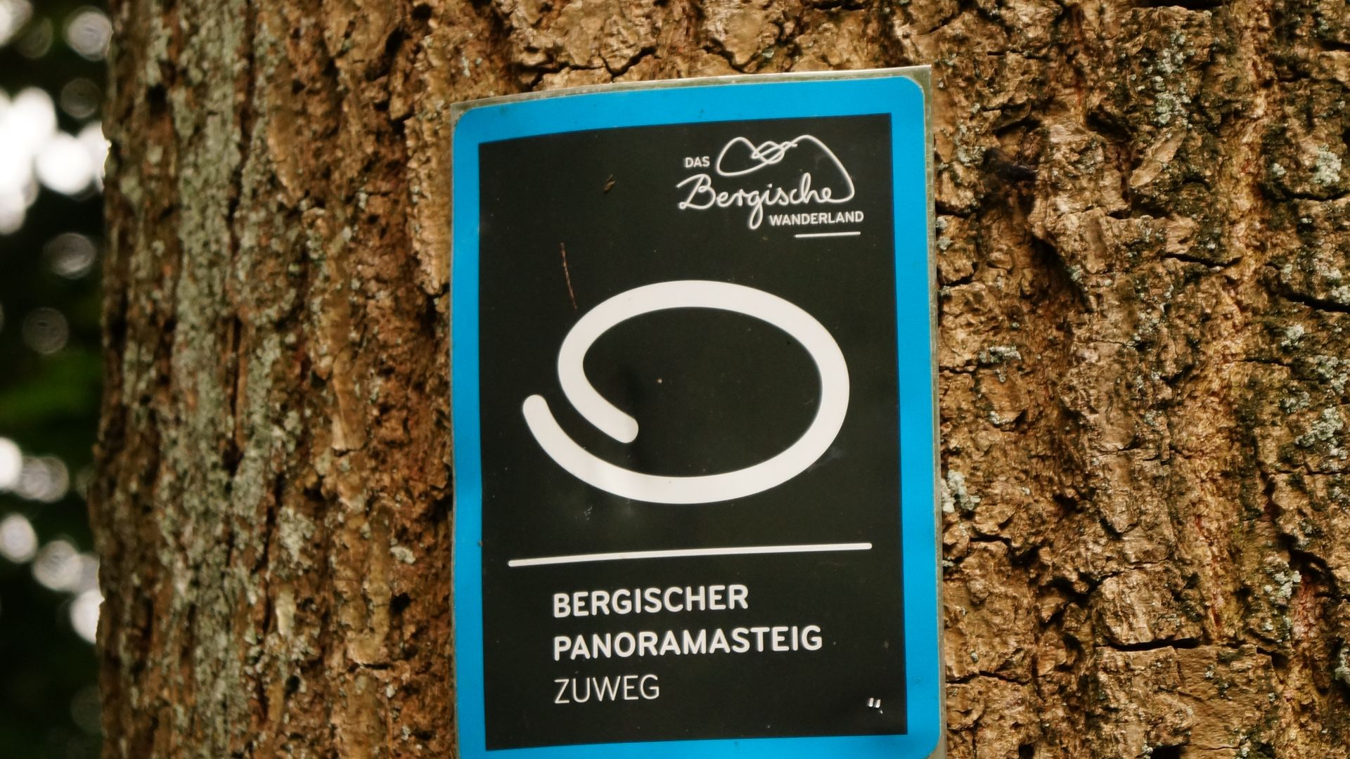 Detailaufnahme eines blau-grauen Markierungszeichens das an einem Baum mit grober Runde hängt
