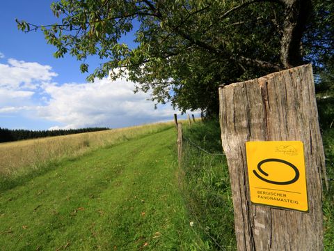 Ein gelbes Markierungszeichen hängt an einem Holzpfosten auf der rechten Seite. Daneben verläuft ein Wanderweg über eine Wiese am Waldrand entlang