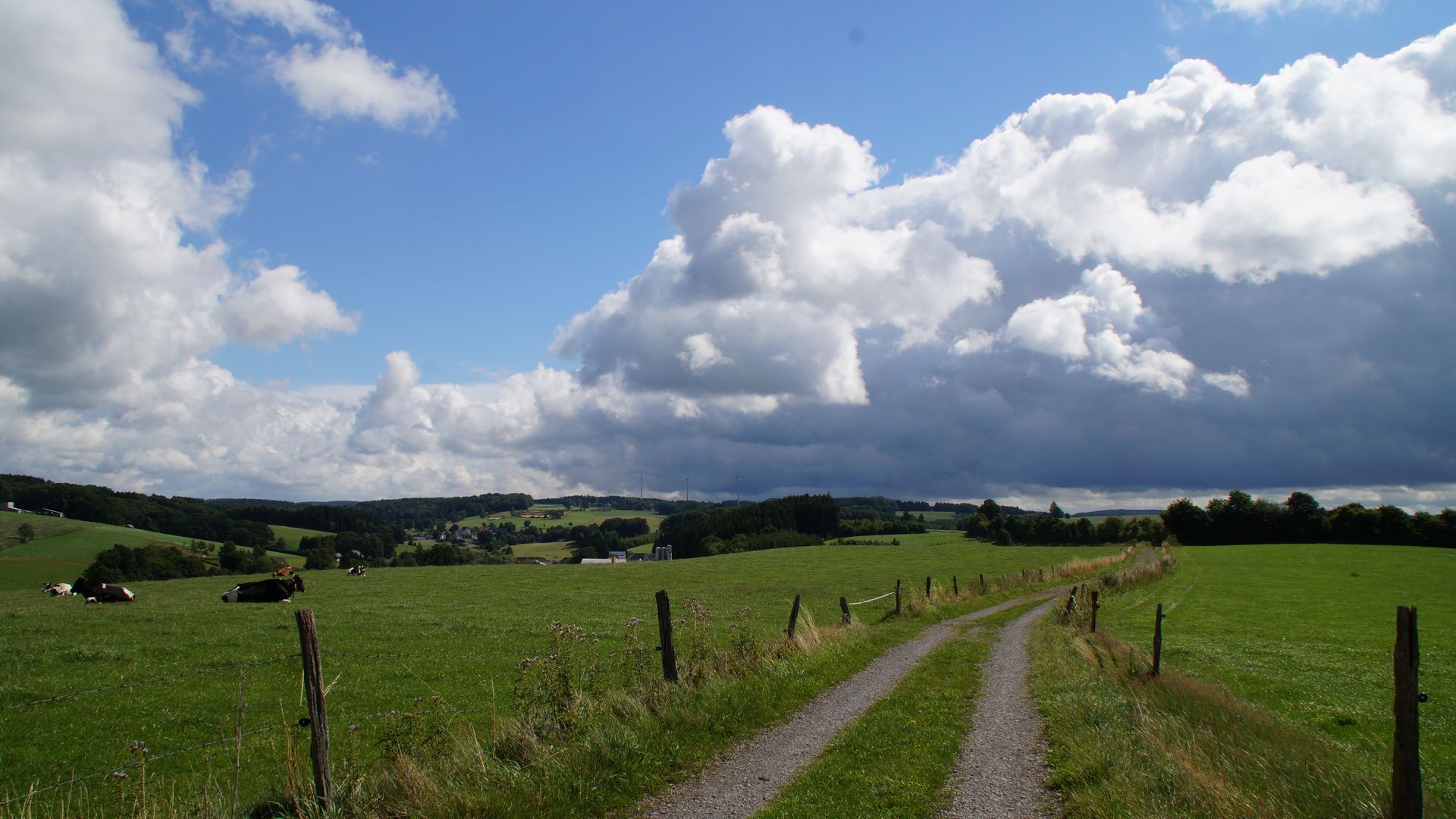 Ein Wanderweg verläuft über eine Wiese. Am Himmel ist blauer Himmel mit großen weißen Wolken zu sehen