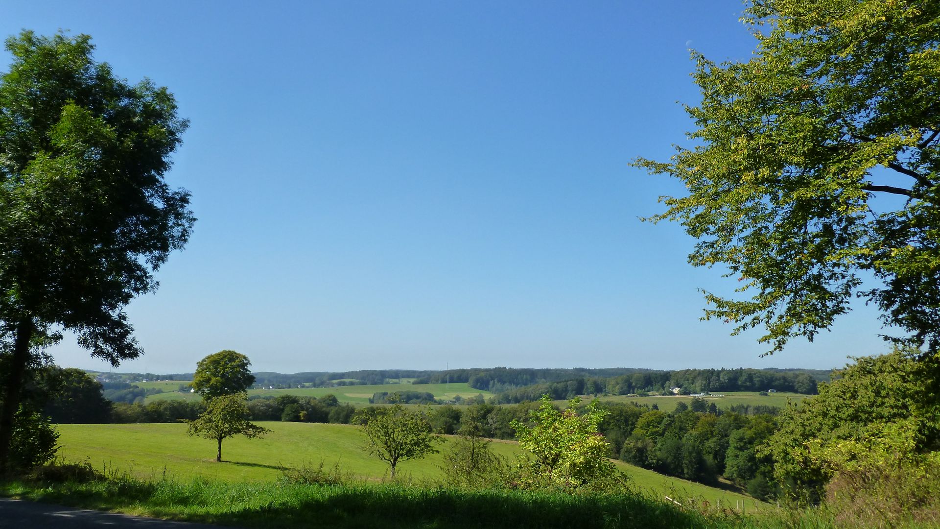 Blick auf eine hügelige Landschaft mit Wiesen und Bäumen bei schönem Wetter und blauem Himmel