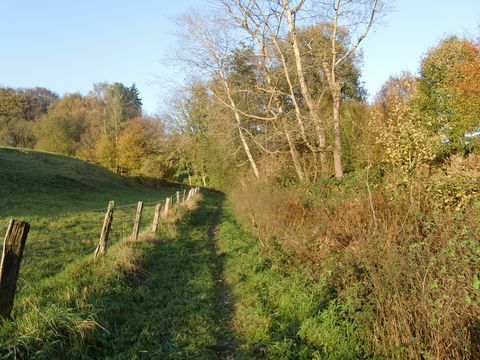 Links im Bild ist eine Wiese, abgesteckt mit einem Stacheldrahtzaun. Daneben verläuft ebenfalls über die Wiese der Wanderweg. Rechts daneben wachsen Sträucher und Bäume.