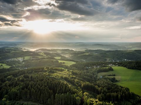 Luftaufnahme auf hügelige Landschaft mit großen Waldflächen. Am Himmel scheint die Sonne durch dunkle Wolken. 